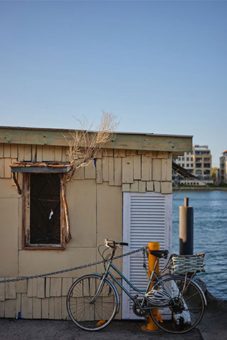 A blue bicycle rests on a short orange column. A single-storey building right behind it has cream walls and an old tree branch hanging from its open window. Behind the building is a body of water, with multi-storey apartment buildings visible on the other side.